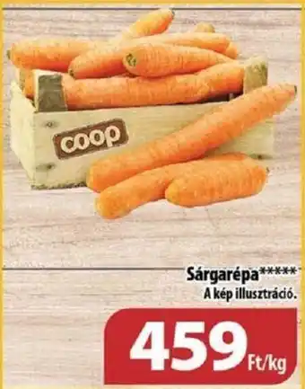 Sárgarépa 1 kg