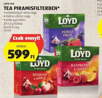 LOYD TEA TEA PIRAMISFILTERBEN 20 x 2 g