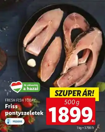 Lidl FRESH FISH TODAY Friss pontyszeletek 500 g ajánlat