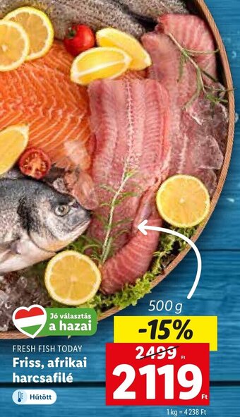 Lidl FRESH FISH TODAY Friss, afrikai harcsafilé 500 g ajánlat