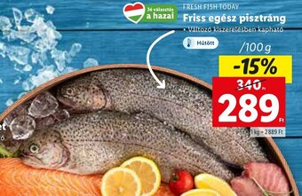 Lidl FRESH FISH TODAY Friss egész pisztráng 100 g ajánlat