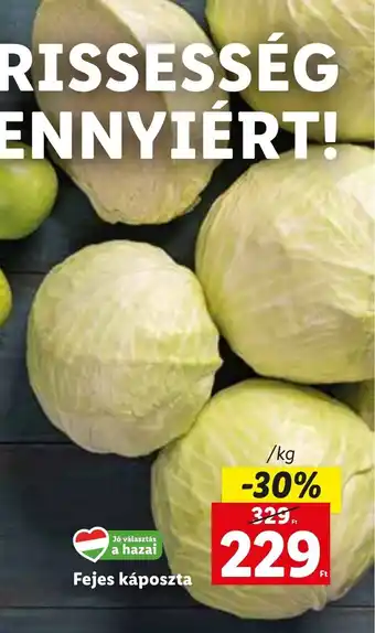 Lidl Fejes káposzta 1 kg ajánlat