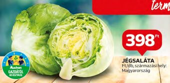 Auchan JÉGSALÁTA, db ajánlat