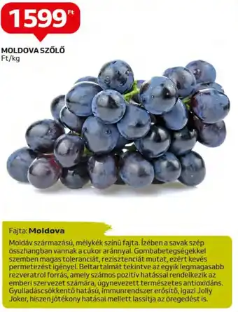 Auchan MOLDOVA SZŐLŐ, kg ajánlat