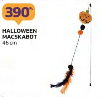 Auchan HALLOWEEN MACSKABOT 1 db ajánlat