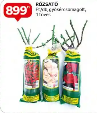 RÓZSATŐ 1 db