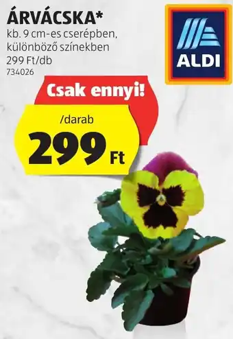 ALDI ÁRVÁCSKA 1 db ajánlat