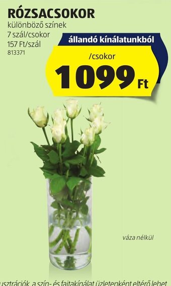 ALDI RÓZSACSOKOR 7 szál ajánlat