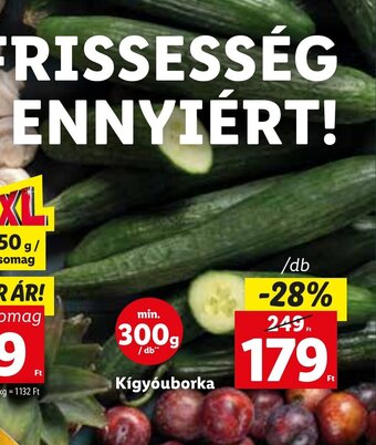 Lidl Kígyóuborka 1 db ajánlat
