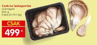 Csokros laskagomba csomagolt 300 g