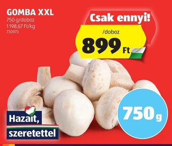 ALDI GOMBA XXL 750 g ajánlat