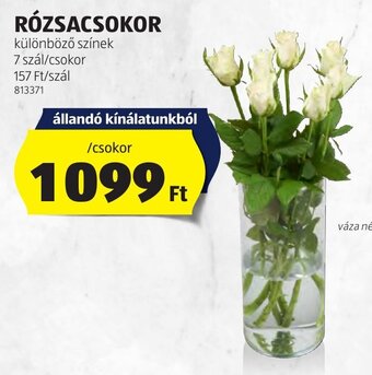 ALDI RÓZSACSOKOR ajánlat