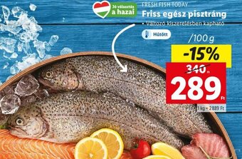 Lidl FRESH FISH TODAY Friss egész pisztráng 100g ajánlat