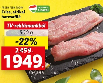 Lidl Friss afrikai harcsafilé 500g ajánlat