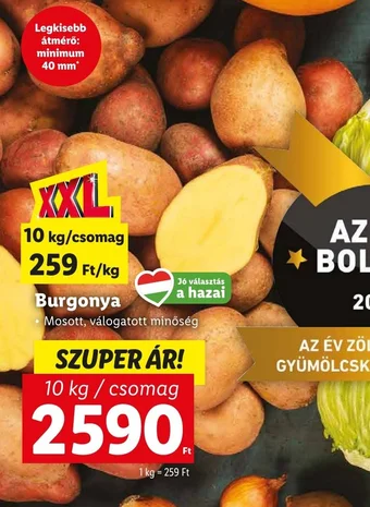 Lidl Burgonya 1kg ajánlat