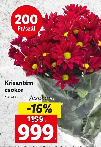 Lidl Krizantém csokor ajánlat