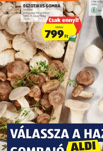 ALDI EGZOTIKUS GOMBA 200 / 150 g ajánlat