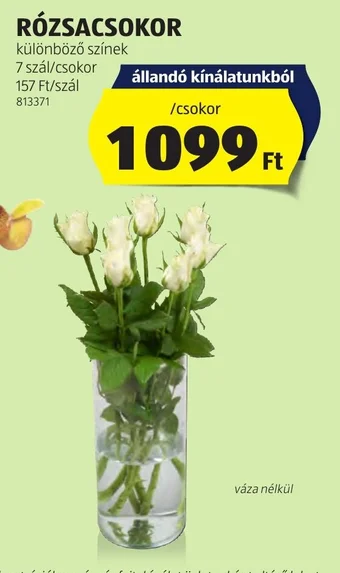 ALDI RÓZSACSOKOR 7 szál ajánlat