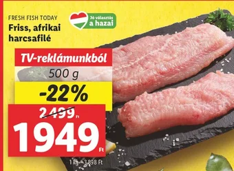FRESH FISH TODAY Friss afrikai harcsafilé 500g