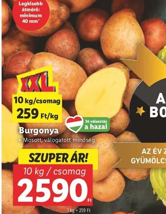 Burgonya 1kg