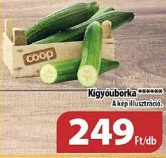Coop Kigyóuborka ajánlat
