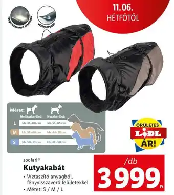 Lidl zoofari Kutyakabát 1 db ajánlat