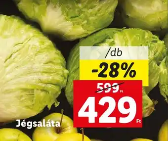 Lidl Jégsaláta ajánlat