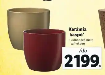 Kerámia kaspó