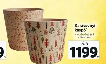 Karácsonyi kaspó