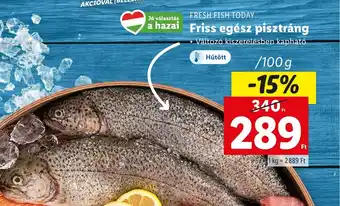 Lidl FRESH FISH TODAY Friss egész pisztráng 100g ajánlat