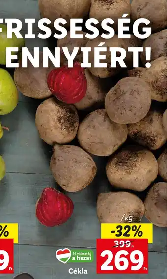 Lidl Cékla 1 kg ajánlat