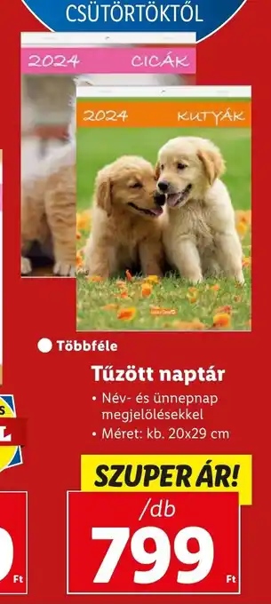 Lidl Tűzött naptár 1 db ajánlat
