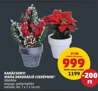 PENNY KARÁCSONYI VIRÁG DEKORÁCIÓ CSERÉPBEN 1 db ajánlat