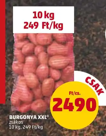 PENNY BURGONYA XXL 10 kg ajánlat