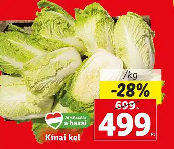 Kínai kel 1kg