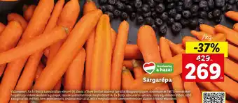 Lidl Sárgarépa 1kg ajánlat