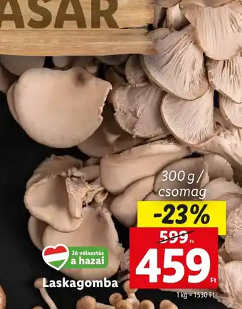 Laskagomba 300g