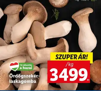 Lidl Ördögszekér laskagomba 1kg ajánlat