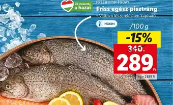Lidl FRESH FISH TODAY Friss egész pisztráng 100g ajánlat