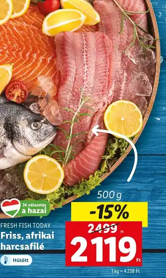 Lidl FRESH FISH TODAY Friss afrikai harcsafilé 500g ajánlat