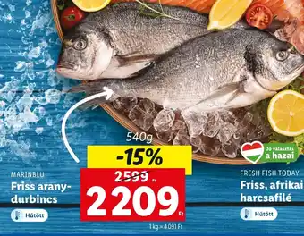 MARINBLU Friss arany durbincs 540g