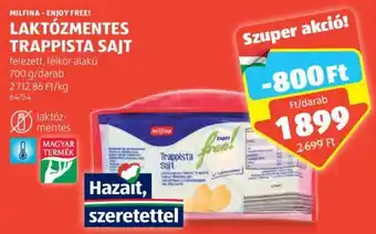 ALDI MILFINA - ENJOY FREE! LAKTÓZMENTES TRAPPISTA SAJT 700 g ajánlat