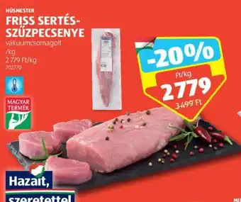ALDI HÚSMESTER FRISS SERTÉS-SZŰZPECSENYE 1 kg ajánlat