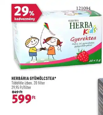 Rossmann HERBÁRIA GYÜMÖLCSTEA ajánlat