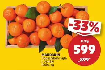 PENNY MANDARIN 1 kg ajánlat
