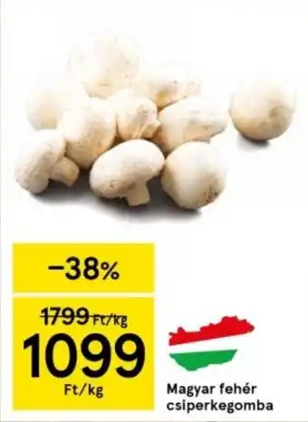 Tesco Magyar fehér csiperkegomba 1 kg ajánlat