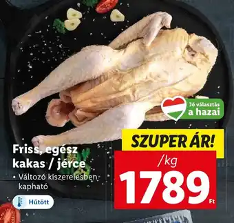 Lidl Friss, egész kakas / jérce 1 kg ajánlat