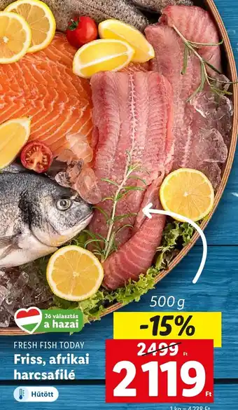 Lidl FRESH FISH TODAY Friss, afrikai harcsafilé 500 g ajánlat