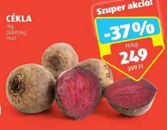 ALDI CÉKLA 1 kg ajánlat