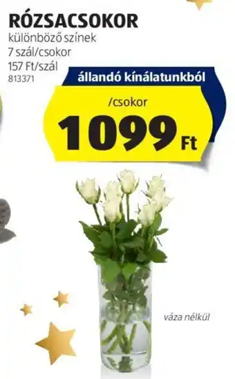 ALDI RÓZSACSOKOR 7 szál ajánlat